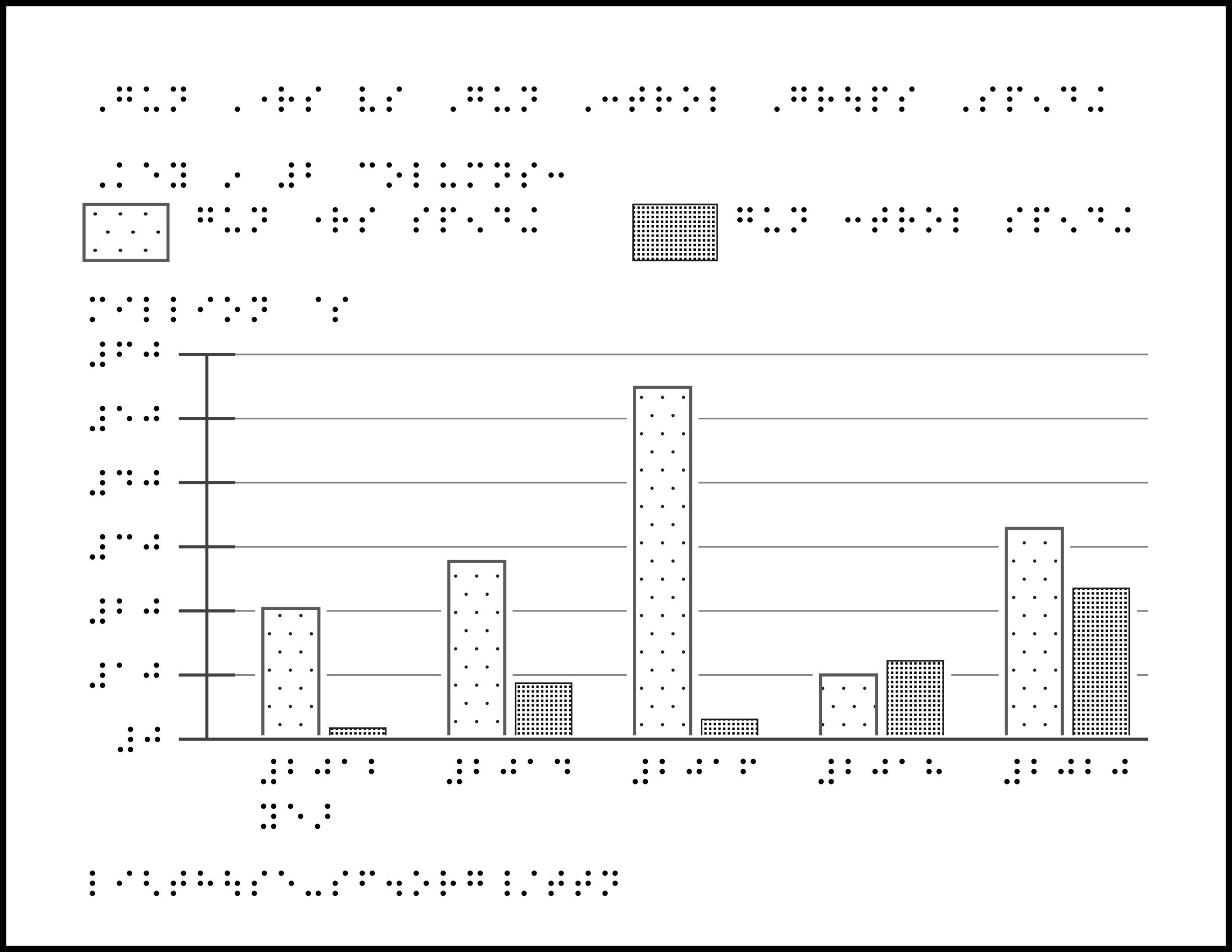 Bar chart with 5 pairs of bars and braille labels.